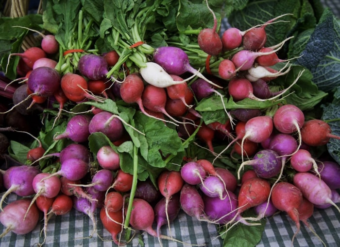 Le jardin indestructible : 15 légumes et herbes aromatiques qui s'épanouiront dans votre espace