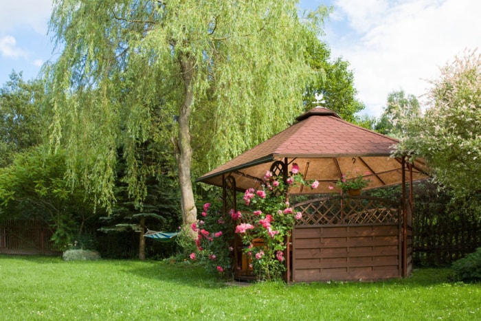 Gazebo extérieur en bois avec des roses et un paysage d'été en arrière-plan