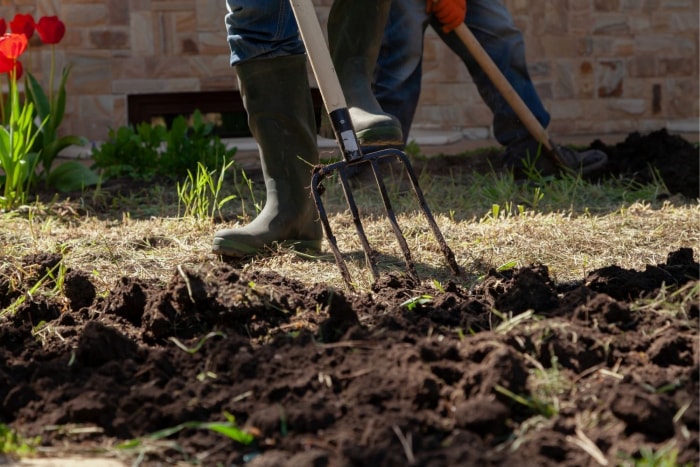 Meilleures options de fourche de jardin