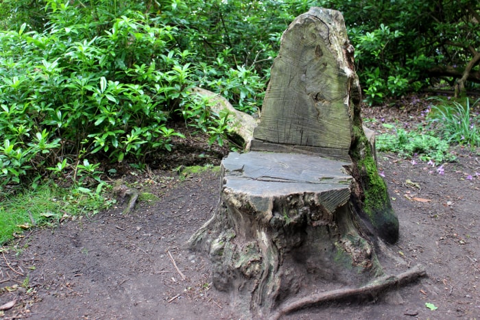 Un siège de jardin sculpté dans un tronc d'arbre.