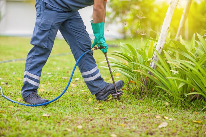 vue depuis les déchets vers le bas d'un professionnel en uniforme injectant des produits chimiques anti-termites dans la pelouse avec un tuyau