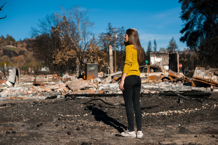 L'assurance habitation couvre-t-elle les incendies de forêt ?