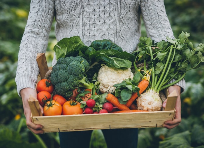 jeune-agriculteur-avec-un-crate-plein-de-légumes-image-id901653798