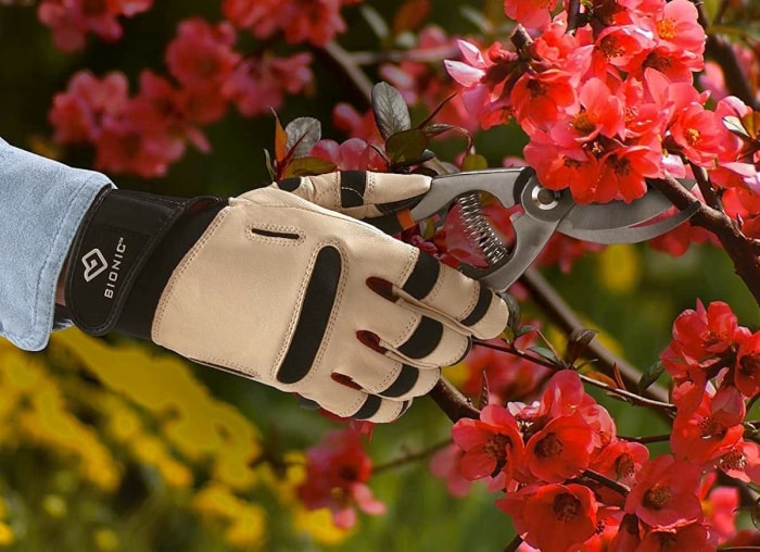 10 outils ergonomiques qui rendent le jardinage presque indolore