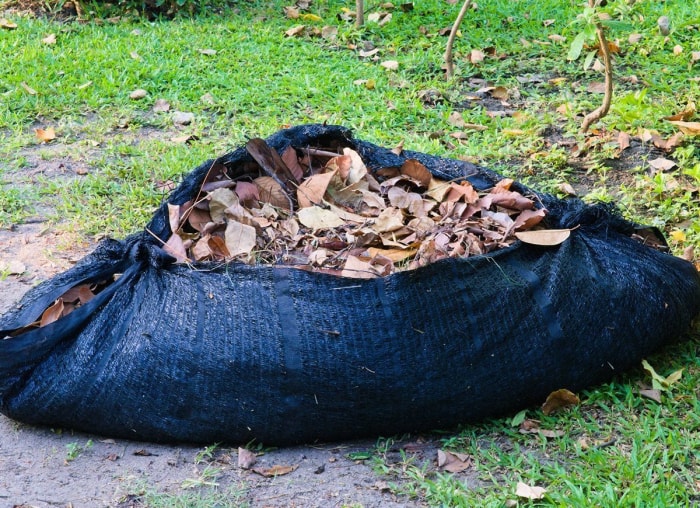 Les choses à faire et à ne pas faire pour nettoyer les feuilles