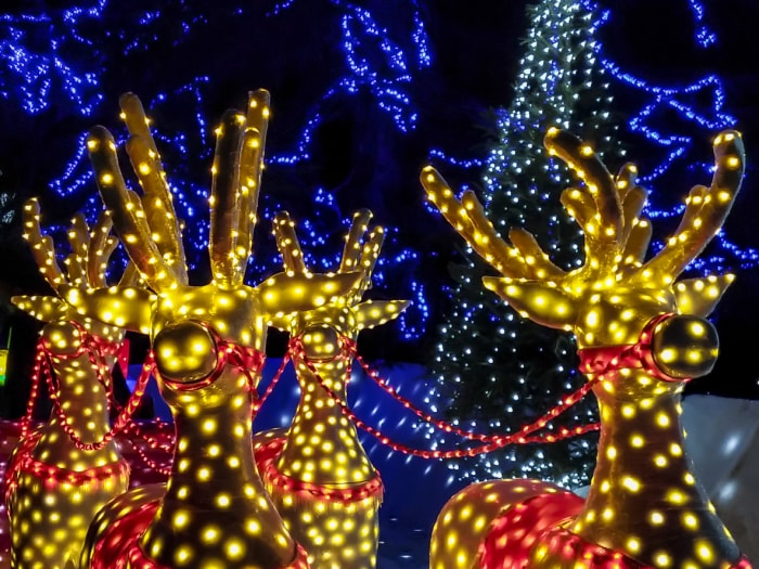 Lumières de Noël sur le thème des rennes.