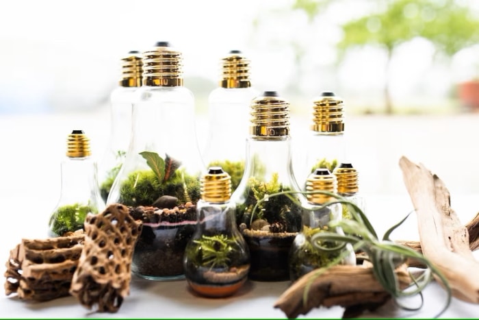 Terrarium à ampoules