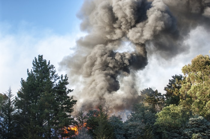 La fumée d'un feu de forêt s'échappe d'une forêt californienne