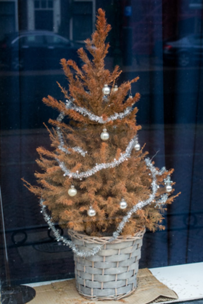 mini sapin de Noël mort, décoration de vacances