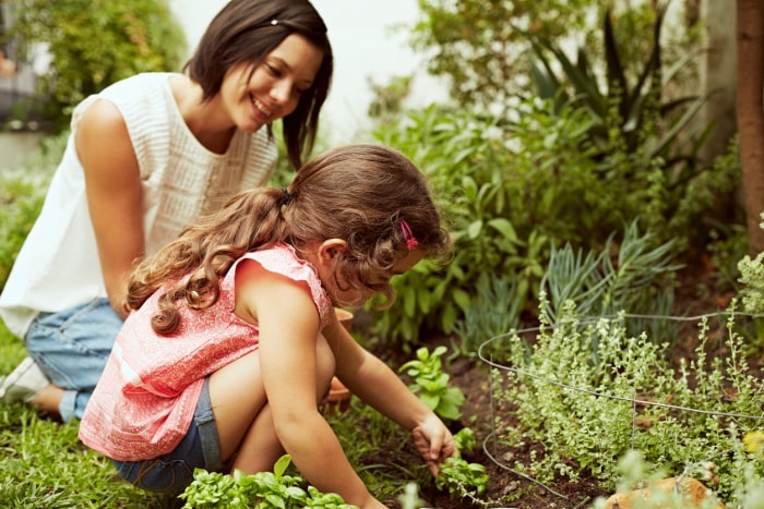 10 tâches de jardinage de saison que vous devriez faire chaque semaine