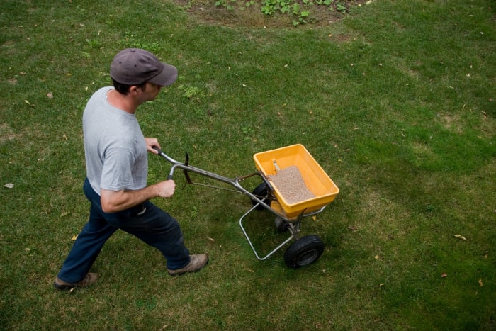 Combien de temps faut-il à l'herbe pour pousser ?