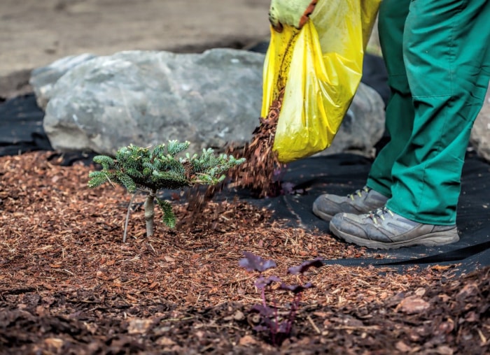 10 façons dont votre jardin peut lutter contre le changement climatique