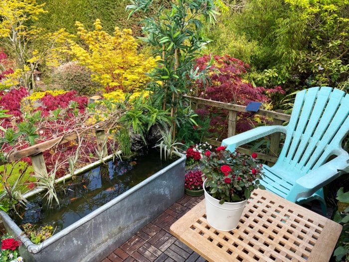 Petit patio avec étang de jardin