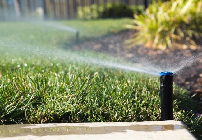 Résoudre les plus grands défis en matière d'entretien de jardin