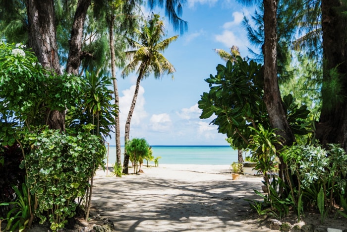 Vue de la plage depuis le sentier