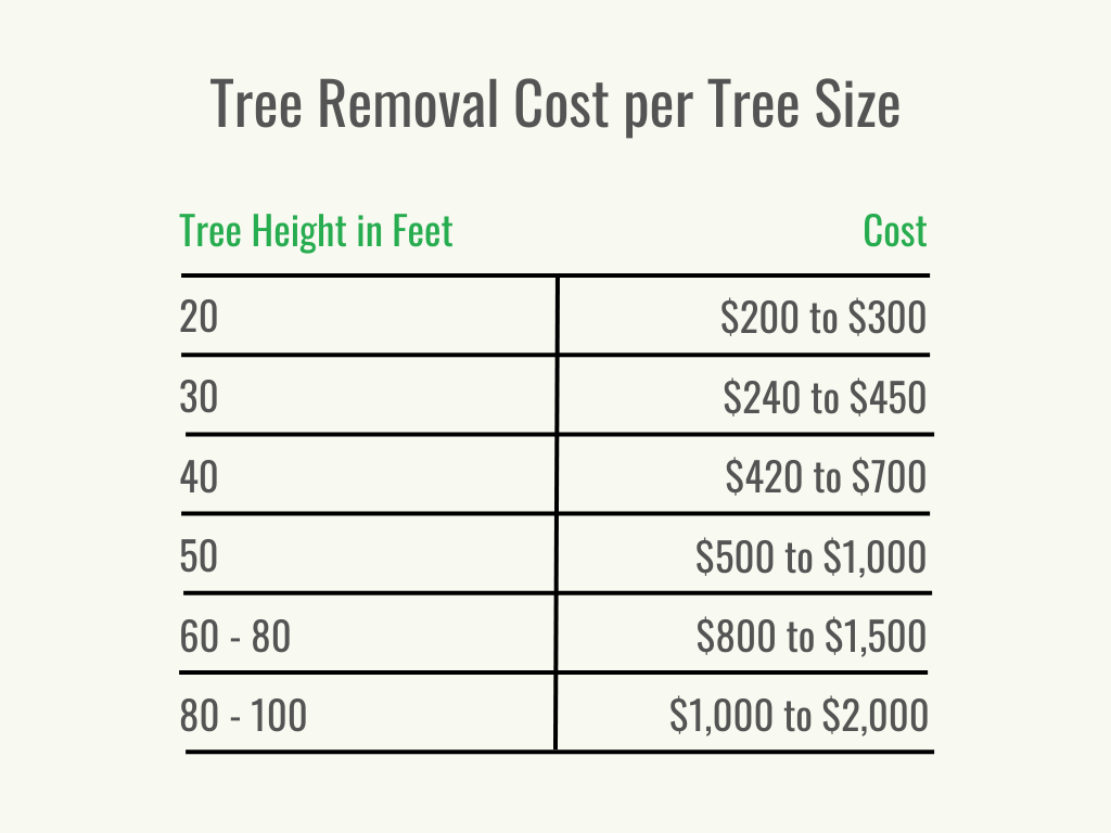 Visuel 2 - HomeAdvisor - Combien coûte l'enlèvement d'un arbre - Coût par taille d'arbre - juillet 2023