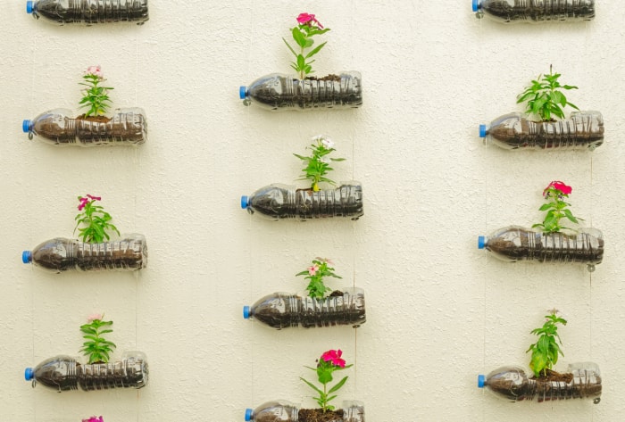 fixé au mur avec de petites fleurs en pot dans des bouteilles en plastique remplies de terre