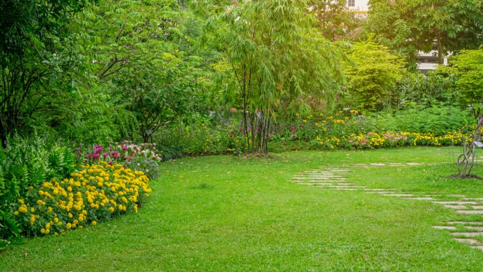 Jardin sous bois