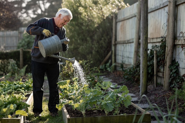 10 tâches de jardinage de saison que vous devriez faire chaque semaine