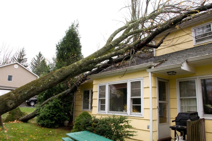 Coût des fenêtres anti-ouragan