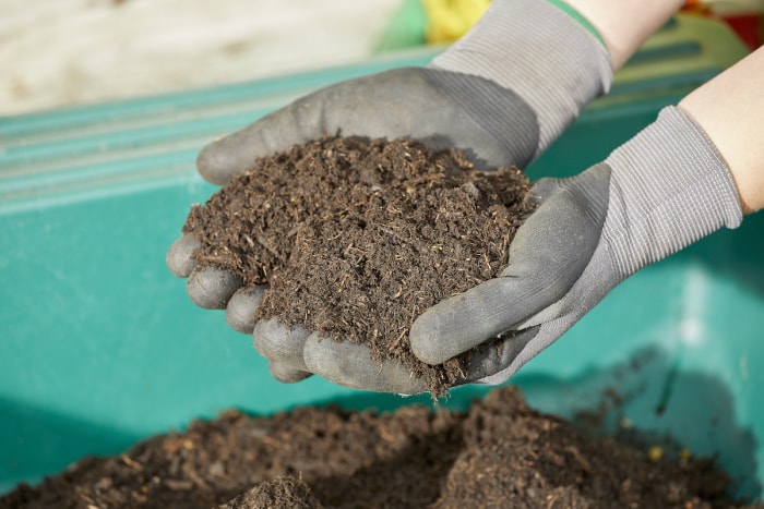 Une femme portant des gants de jardinage tient une poignée de terreau au-dessus d'un récipient en plastique vert.