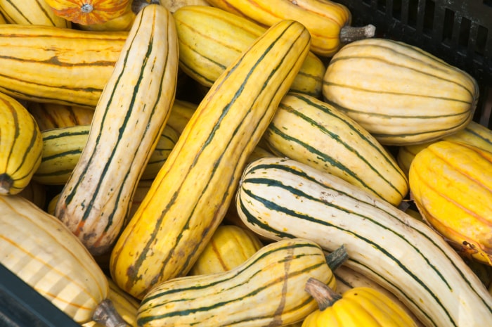 types de courges