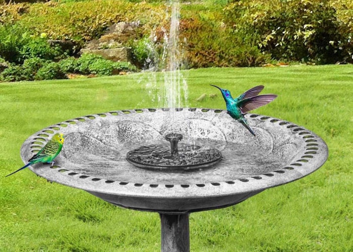 10 choses dont tout ornithologue amateur a besoin pour son jardin, selon un ornithologue chevronné