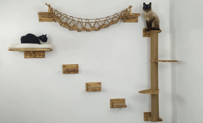 Deux chats sur un pont en bois pour chats sur un mur blanc