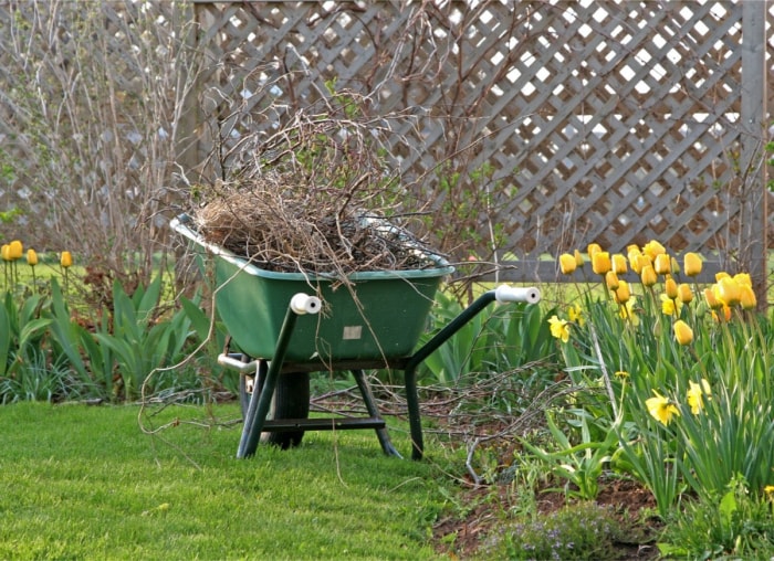 10 façons de rendre votre jardin plus propice aux abeilles