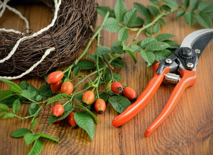 35 façons de décorer pour l'automne quand on en a marre des citrouilles