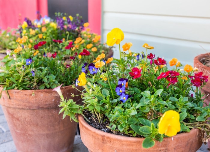 25 façons d'embellir votre jardin sans rien planter