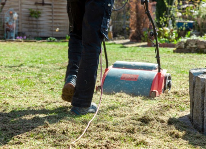 Personne poussant une déterreuse dans sa pelouse.