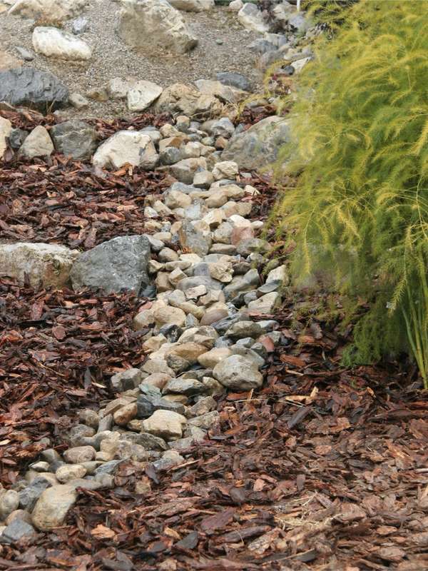 Dry Creek bed