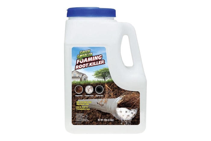 Les produits que nos lecteurs ont achetés en janvier Option Green Gobbler Foaming Root Killer