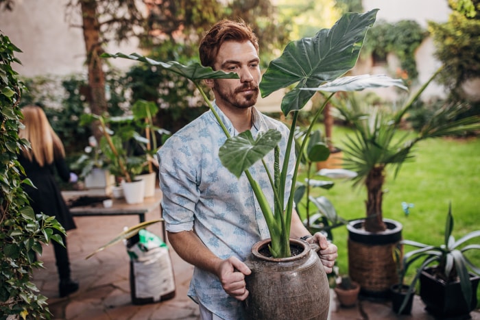 garder le jardin heureux