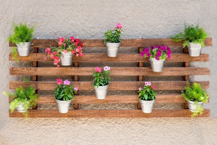 mur en stuc blanc avec des plantes en pot fleuries colorées montées sur une palette en bois