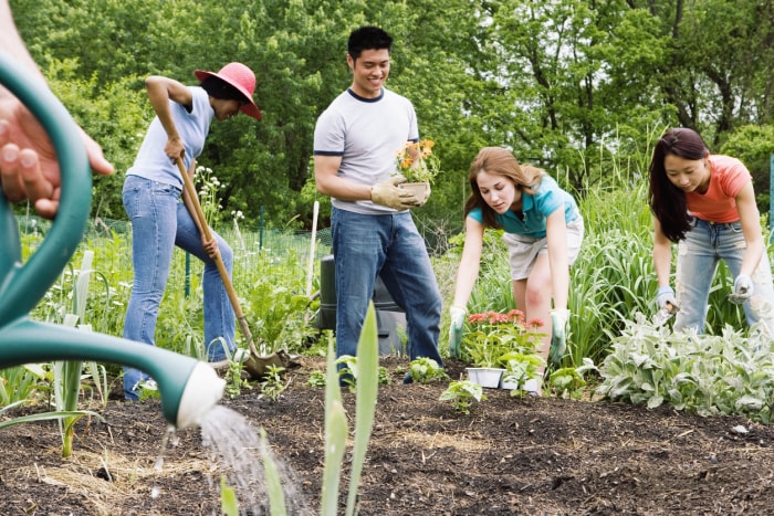 iStock-519977247 économiser de l'argent jardinage Groupe planter dans un jardin communautaire