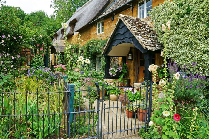 11 fleurs qui donneront à votre jardin une atmosphère de cottage anglais