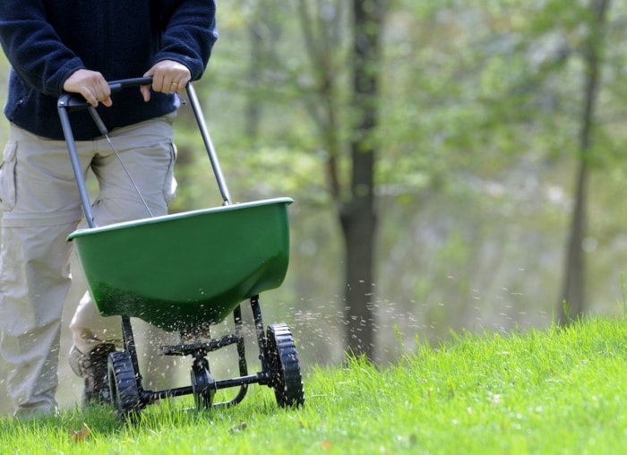 7 choses que votre pelouse essaie peut-être de vous dire