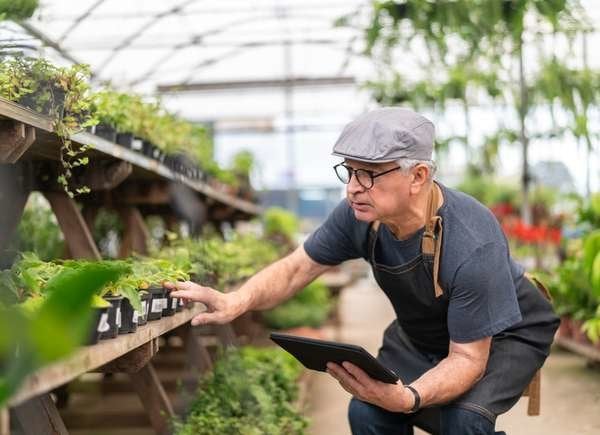 Un homme dans une jardinerie regarde des plantes