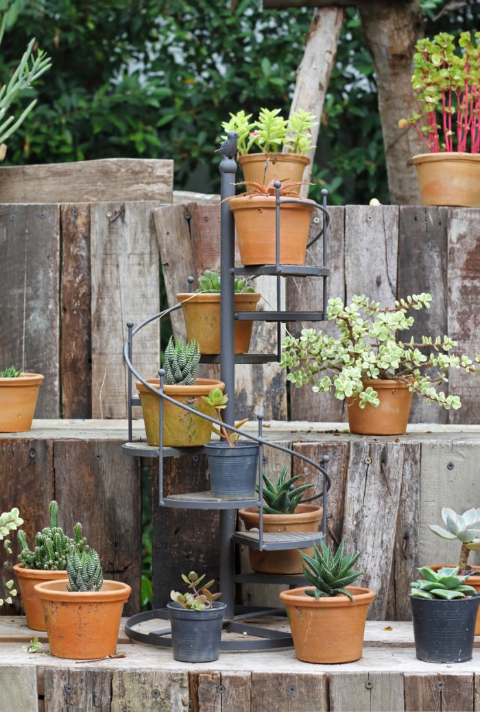 aménagement paysager en bois avec mini escalier en colimaçon avec des cactus en pot exposés