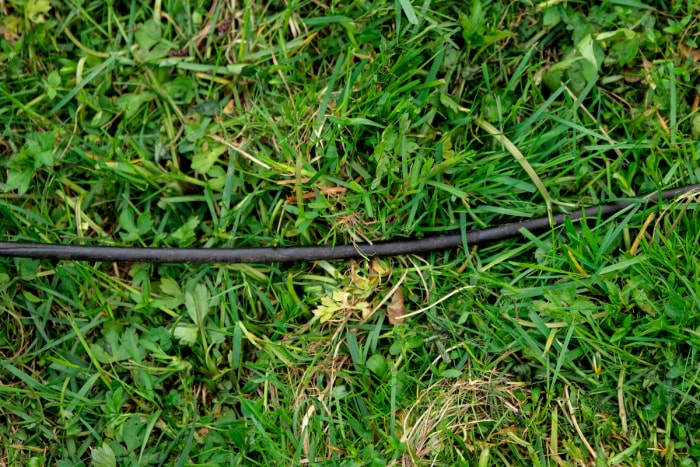 Un câble de tondeuse à gazon noir repose sur l’herbe.