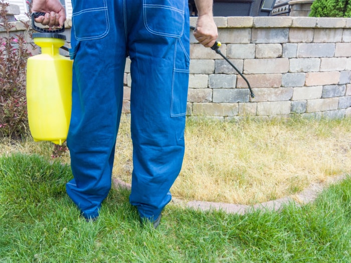 Jardinier pulvérisant de l'herbe pour une aération liquide