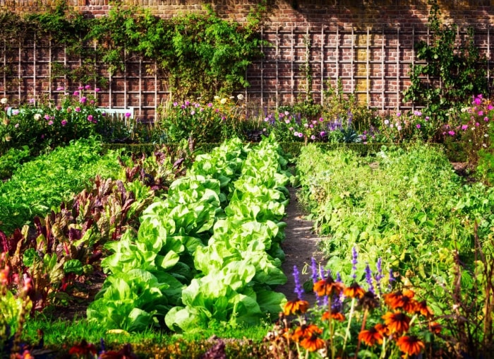 13 idées pour un potager qui a du cachet