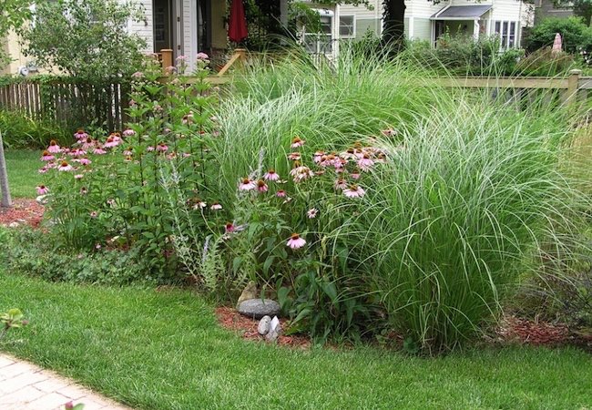 Jardins de pluie