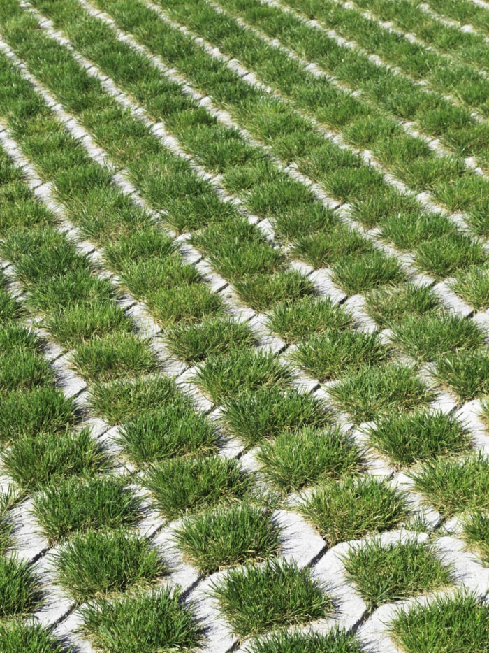 pavés d'allée perméables avec de l'herbe poussant à travers pour contrôler le ruissellement