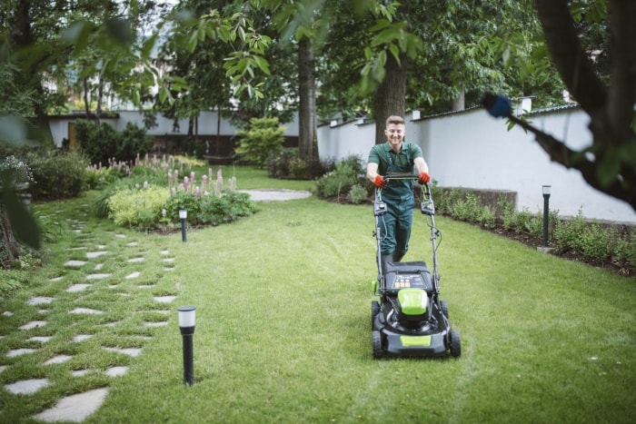 Les meilleures options de services de jardinage