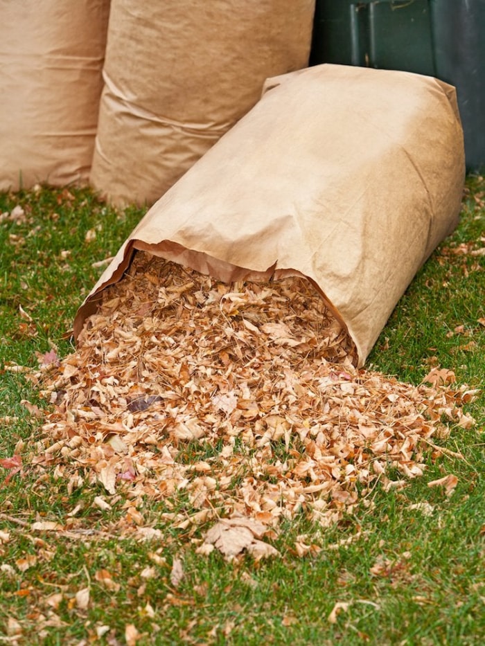 Les choses à faire et à ne pas faire pour nettoyer les feuilles