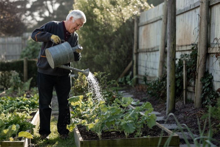 jardinage sur place