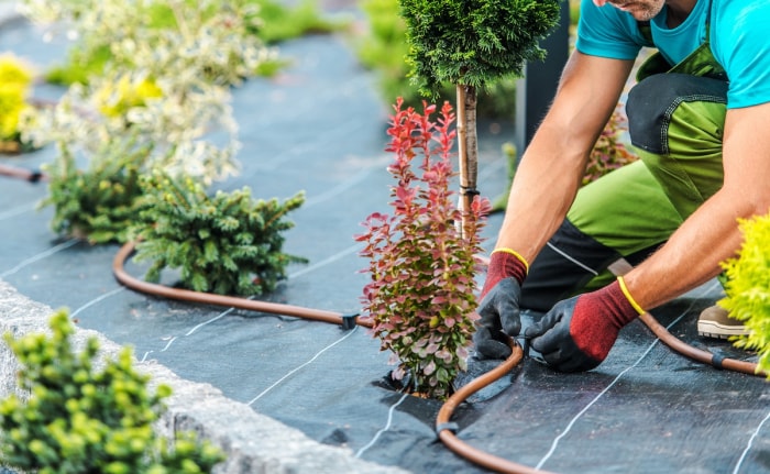 Personne installant un système d'irrigation au goutte-à-goutte dans l'aménagement paysager d'une maison.